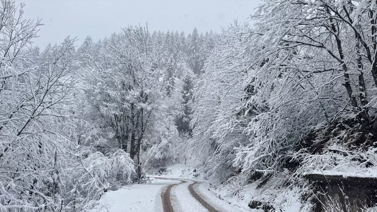 Kar yağışı bölgede etkili
