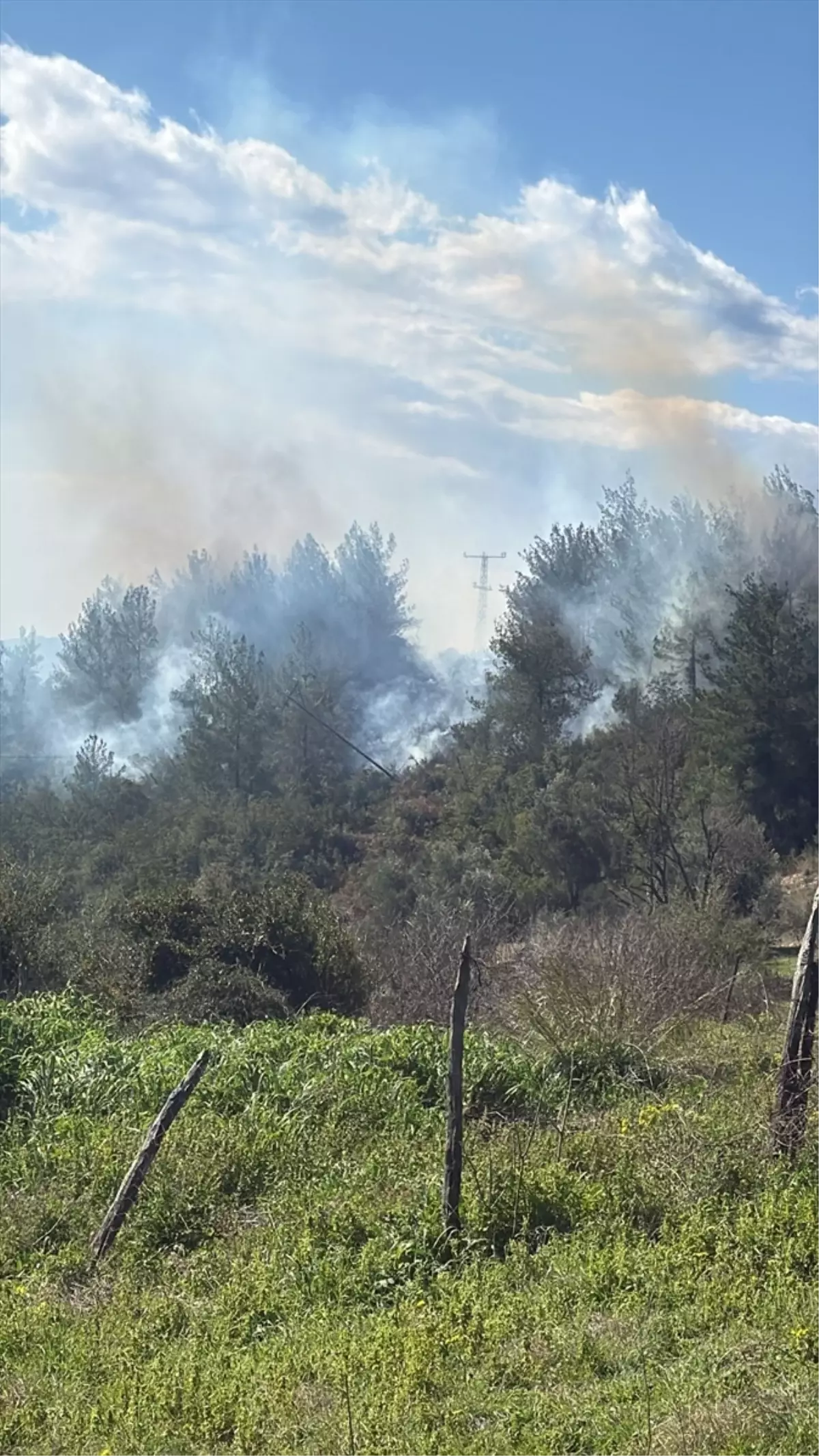 Osmaniye\'de Orman Yangını Söndürüldü