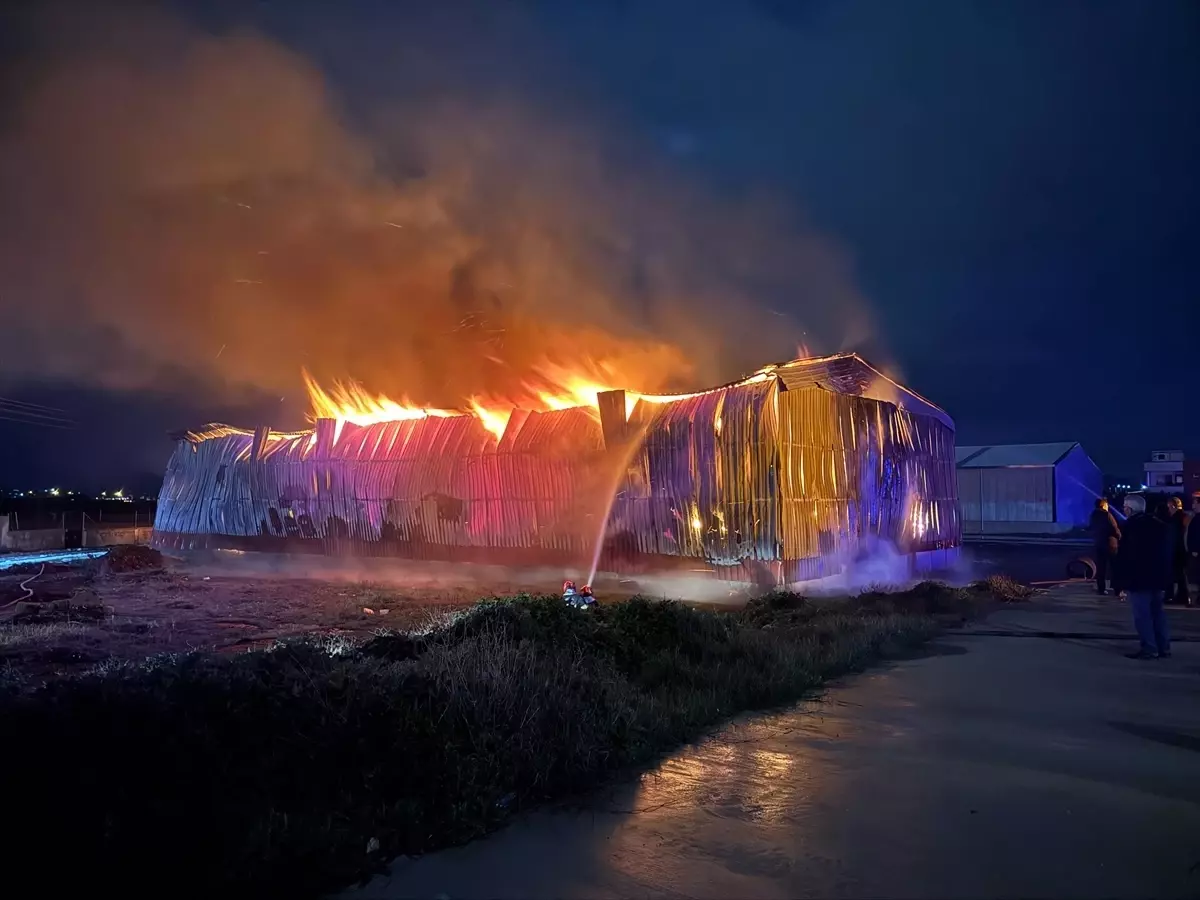 Osmaniye\'de Kağıt Fabrikasında Yangın