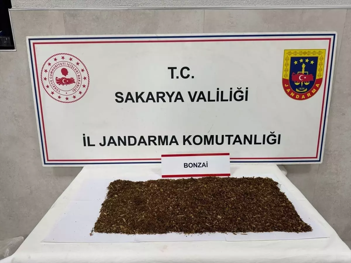Sapanca\'da Uyuşturucu Operasyonu: 1 Tutuklama
