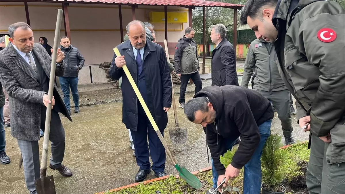 Salıpazarı\'nda Fidan Dikim Etkinliği