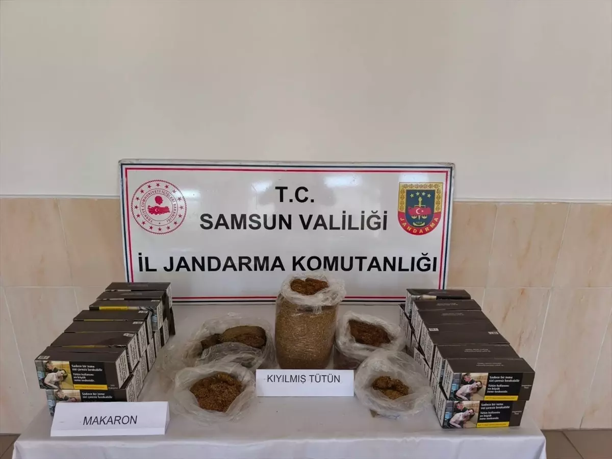 Samsun\'da Kaçak Tütün ve Silah Operasyonu