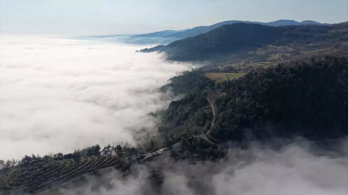 Yakakent\'te Sis Manzarası