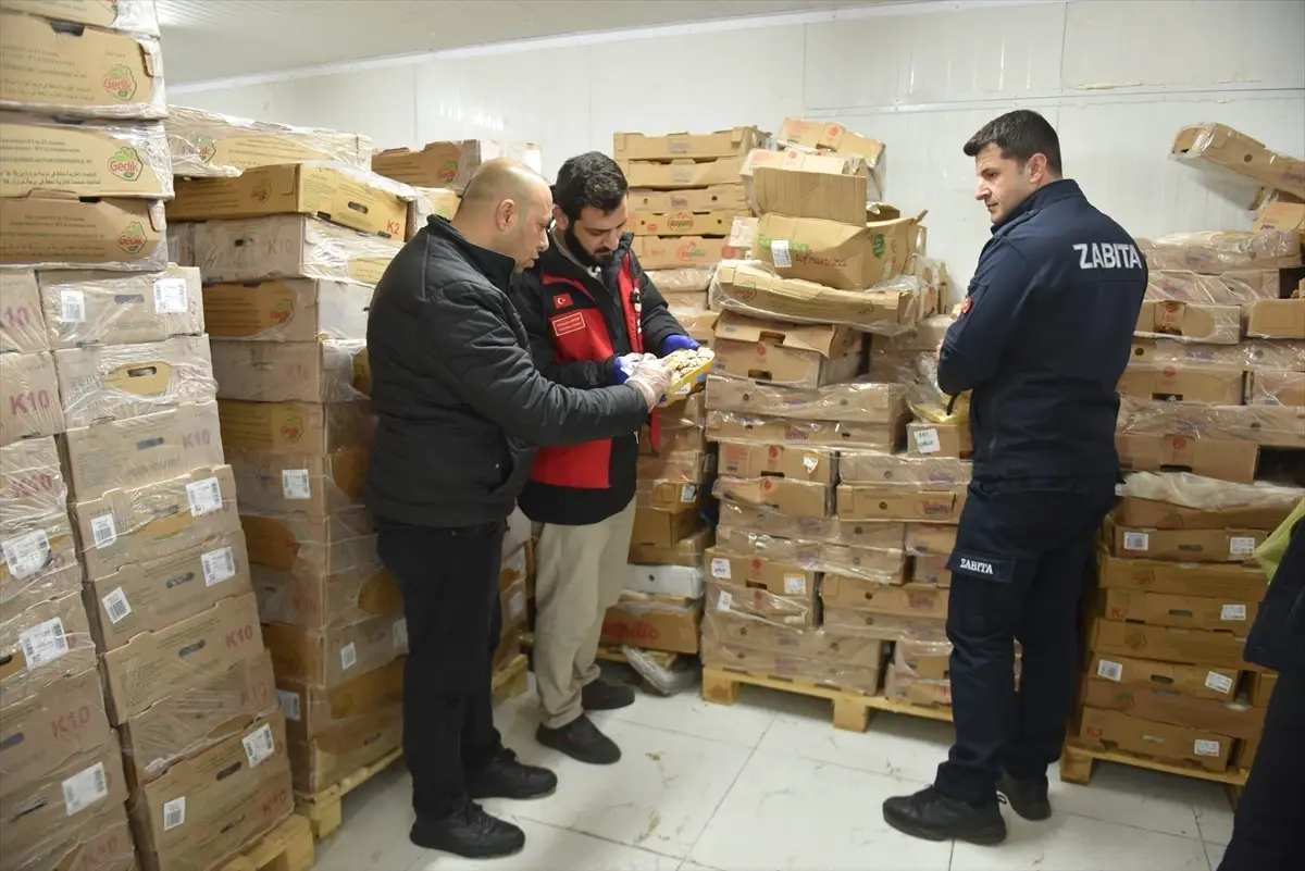 Şanlıurfa\'da 50 ton bozuk tavuk eti ele geçirildi