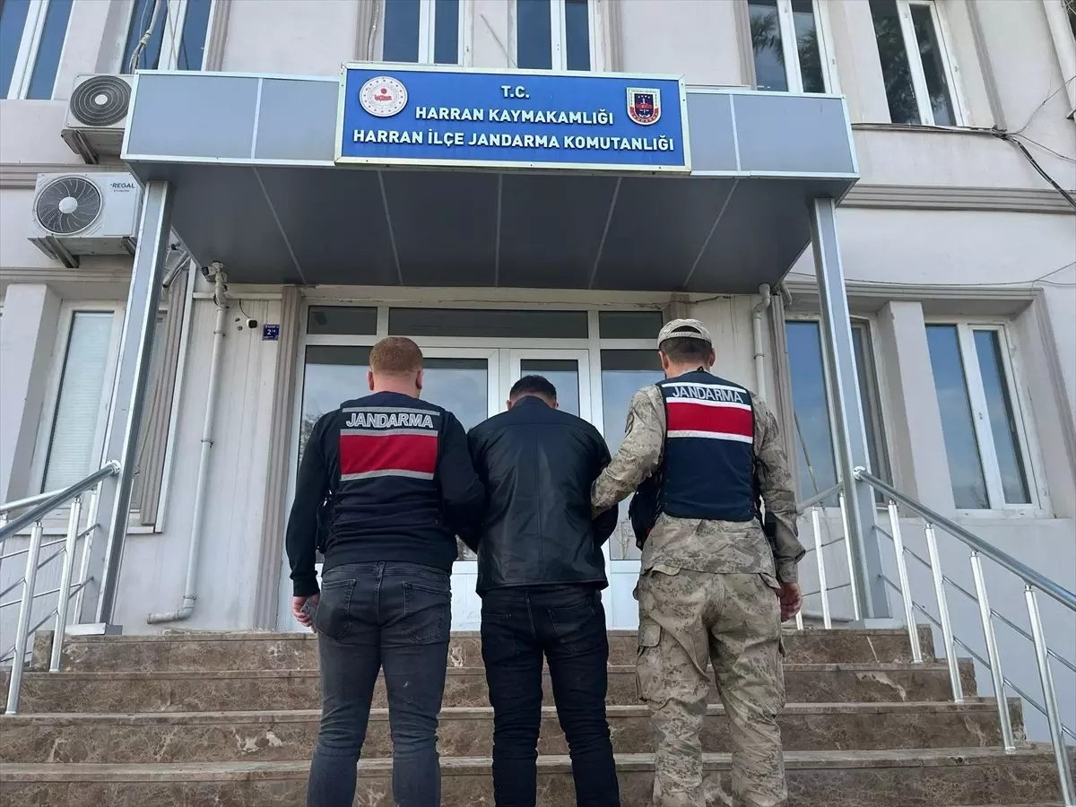 Harran\'da 13 Yıl Ceza Alan Hükümlü Yakalandı