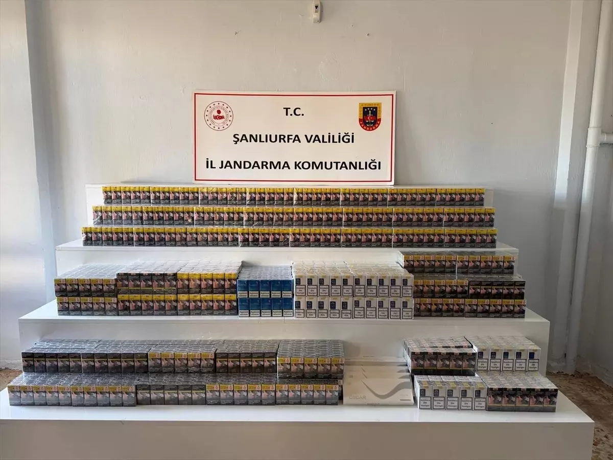 Viranşehir ve Ceylanpınar\'da Gümrük Kaçakçılığı Operasyonu