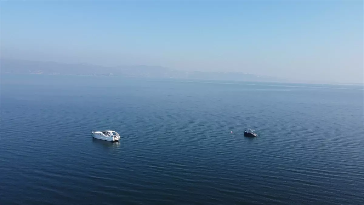 Sapanca\'da Etnobotanik Çalışma