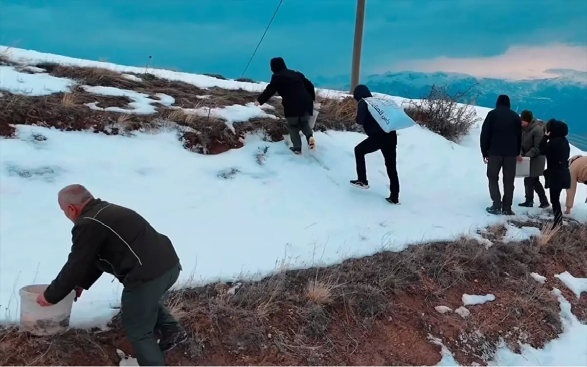 Kuşlar İçin Yemleme Çalışması