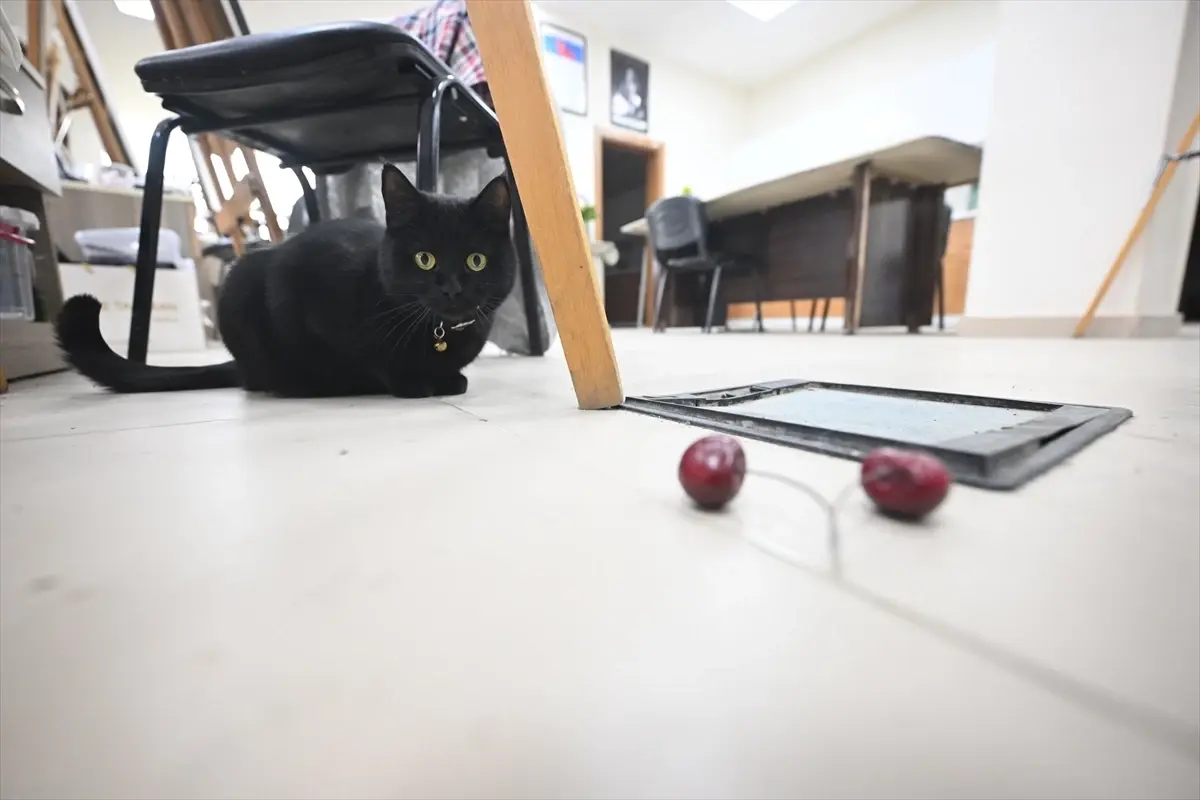 BELMEK\'in Maskotu: Şükufe