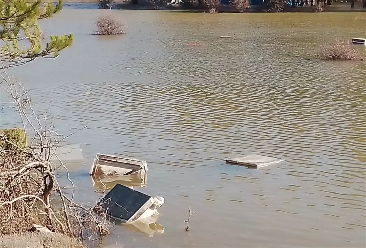 Seydişehir\'de Arıcılık Krizi