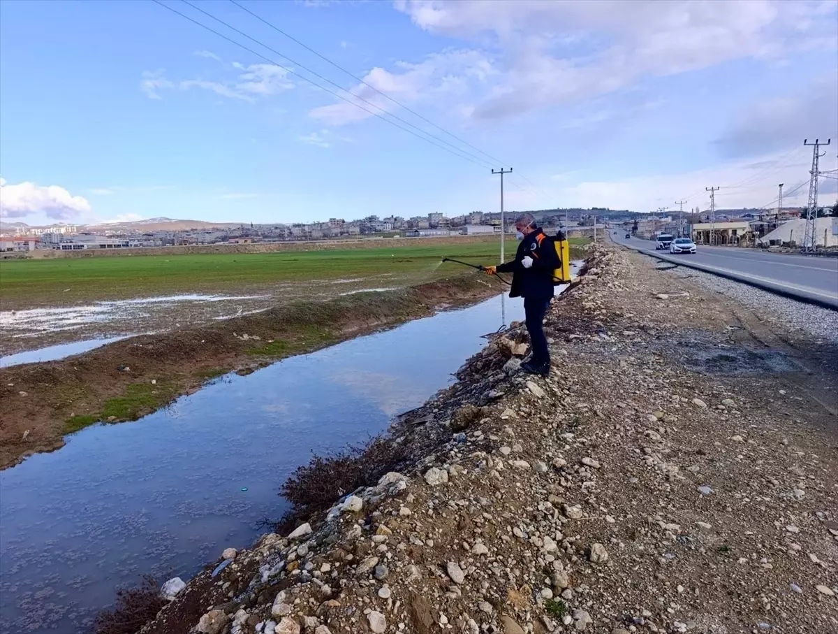 Siirt\'te Haşere Mücadelesi