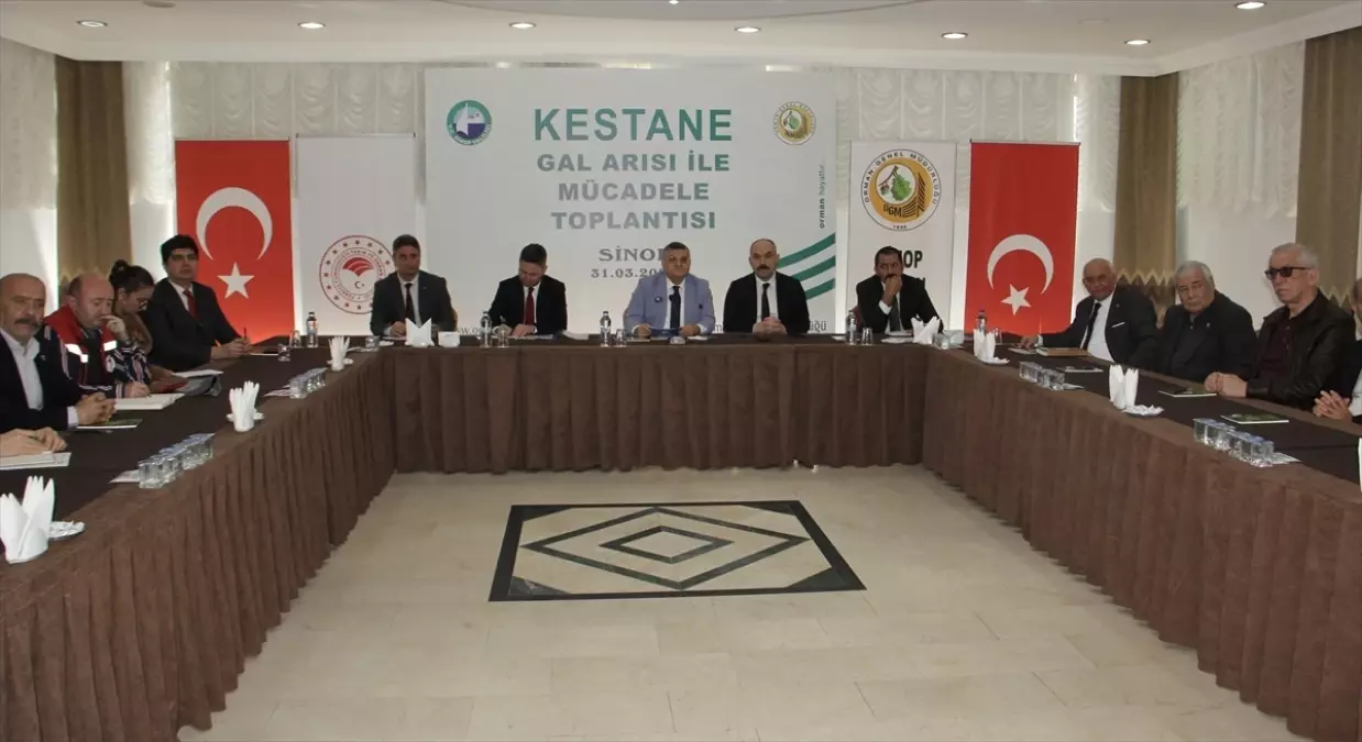 Sinop\'ta 10 bin böceğe \'kamu\' görevi