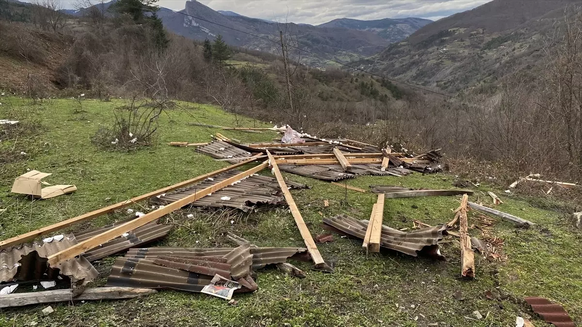 Türkeli\'de Rüzgar Arılıkları Uçurdu