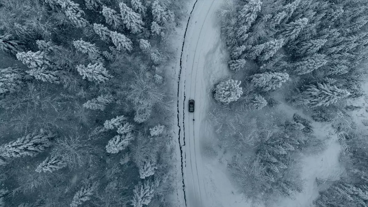 Kar, Samsun ve Sinop\'un Yüksek Kesimlerini Vurdu