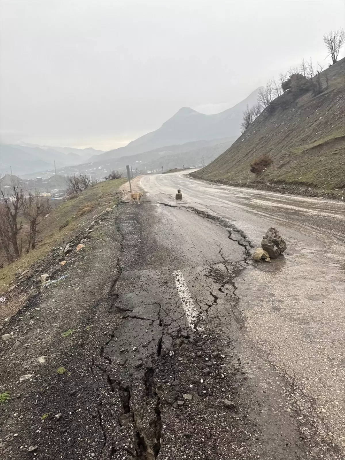Şenoba\'da Yağış Nedeniyle Yol Çöktü