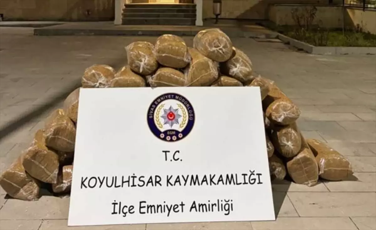 Koyulhisar\'da 200 kg Kaçak Tütün Ele Ge geçirildi