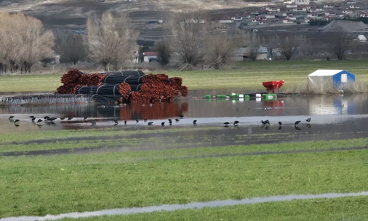 Hafik\'te Tarım Arazilerinde Su Birikintileri