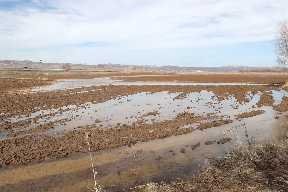 Sivas\'ta Tarım Arazileri Su Altında Kaldı