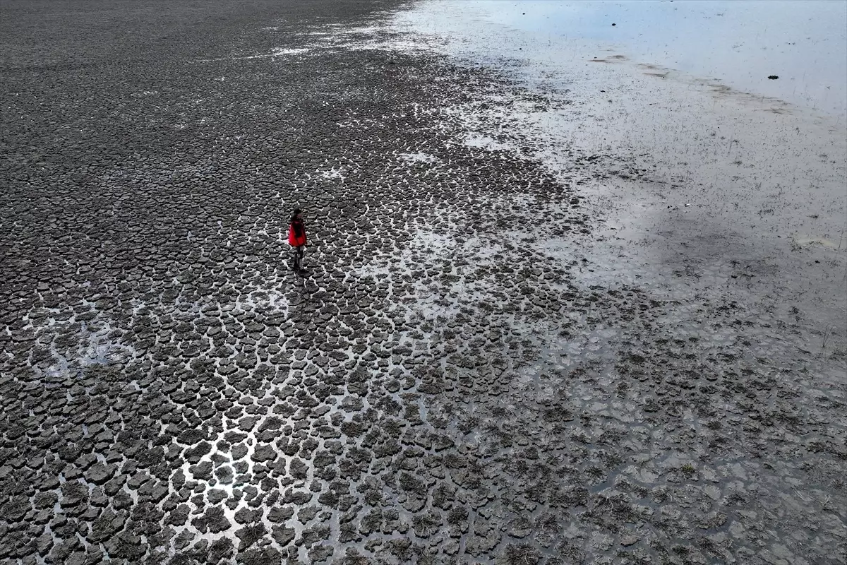 Çavuşçu Gölü Suya Kavuştu