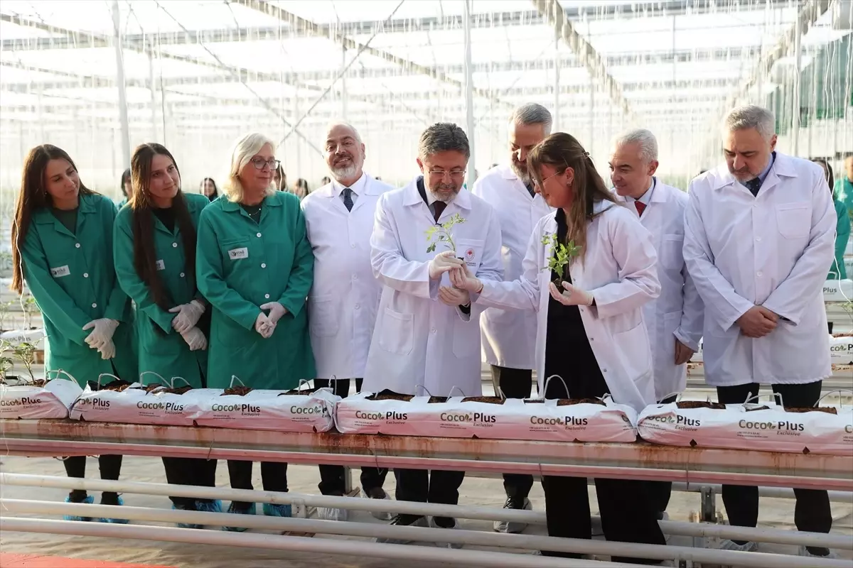 Yumaklı Kırklareli\'nde Jeotermal Domates Serasını Ziyaret Etti