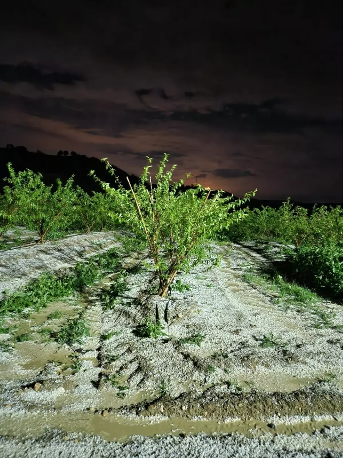 Tarsus\'ta Dolu Zarar Verdi