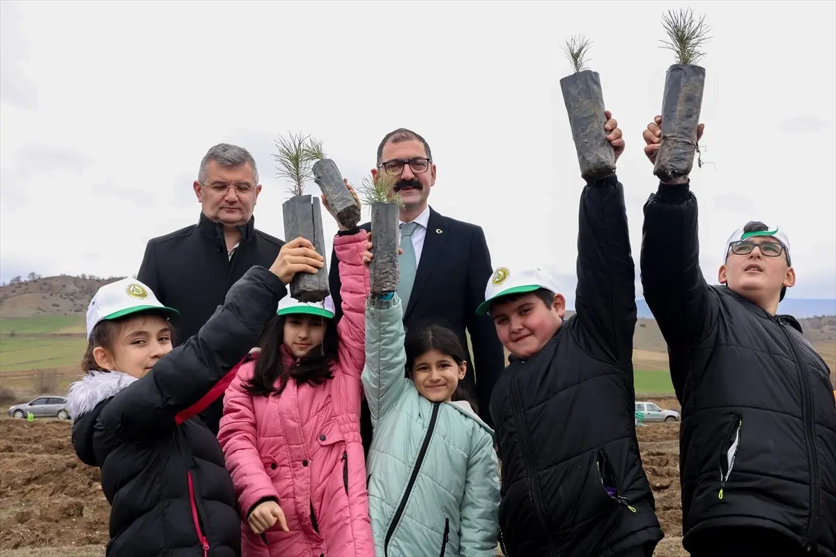 Taşköprü\'de Fidan Dikimi Etkinliği