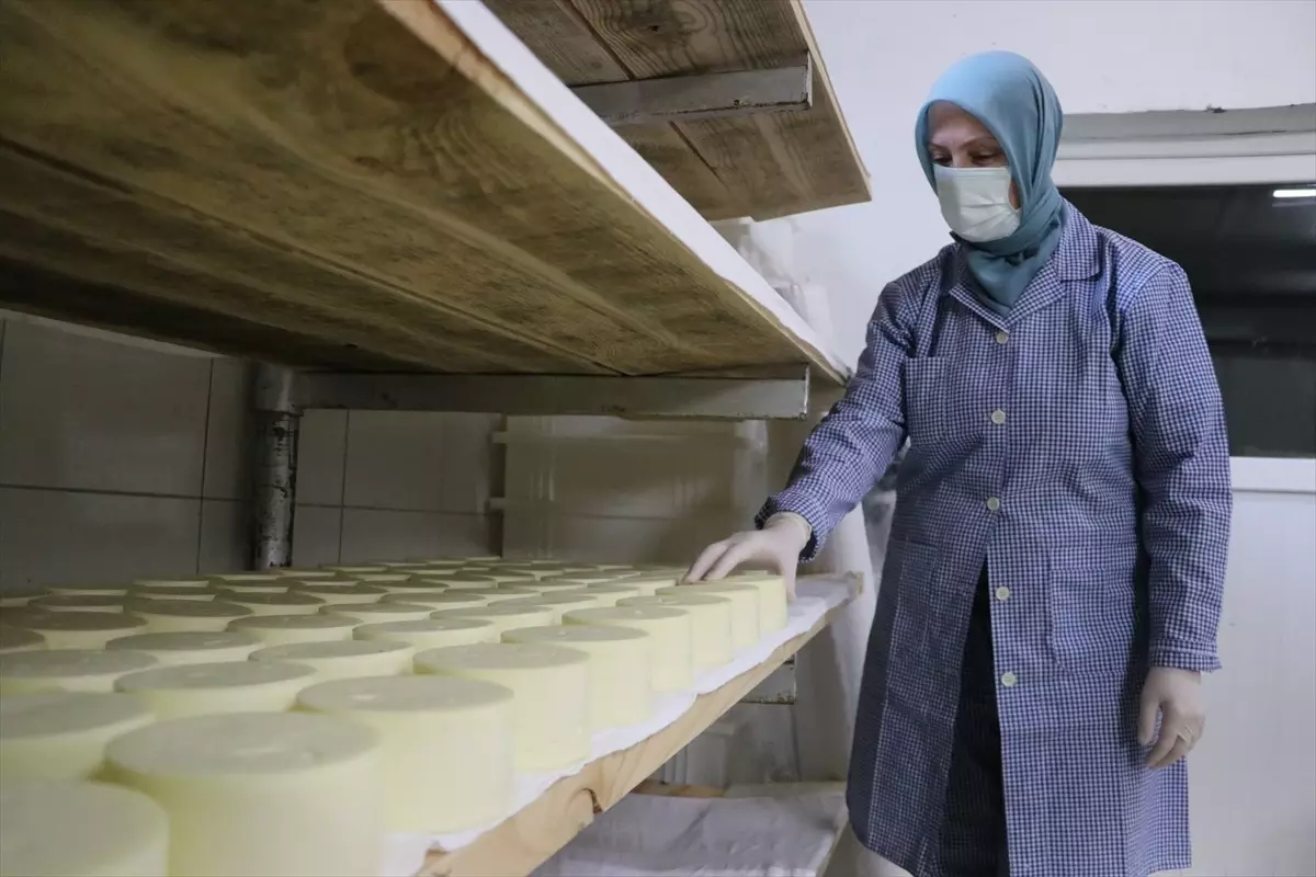 Kadınlar Süt Ürünleri Üretiyor