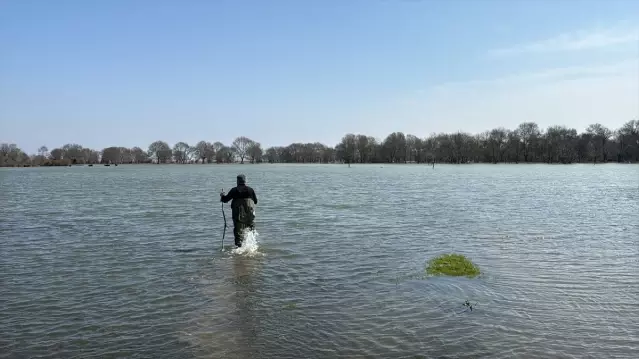 Samsun’da Tıbbi Sülük Avcılığı