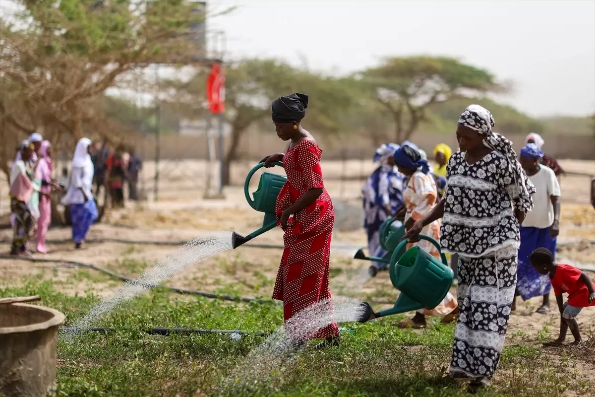 TİKA\'dan Senegal\'de Tarım Projesi