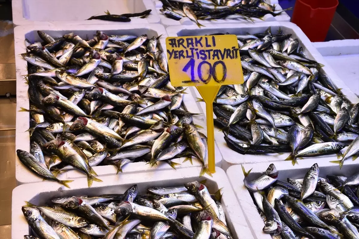 Trabzon\'da Balık Fiyatları