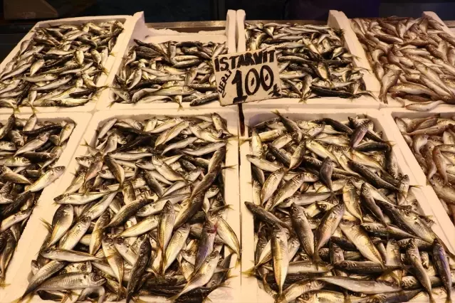 Ramazanda Trabzon’da Balık Satışları Artıyor