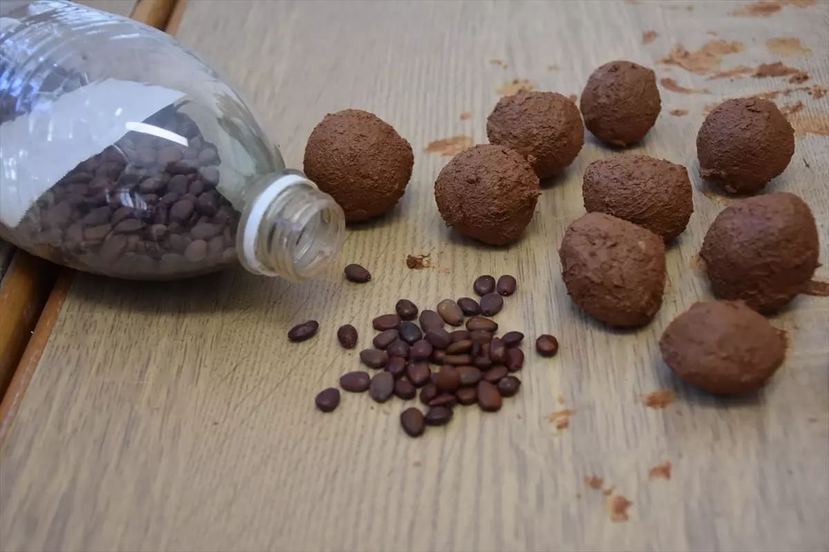 Trabzonlu lise öğrencilerinin hazırladığı tohum topları doğaya nefes olacak