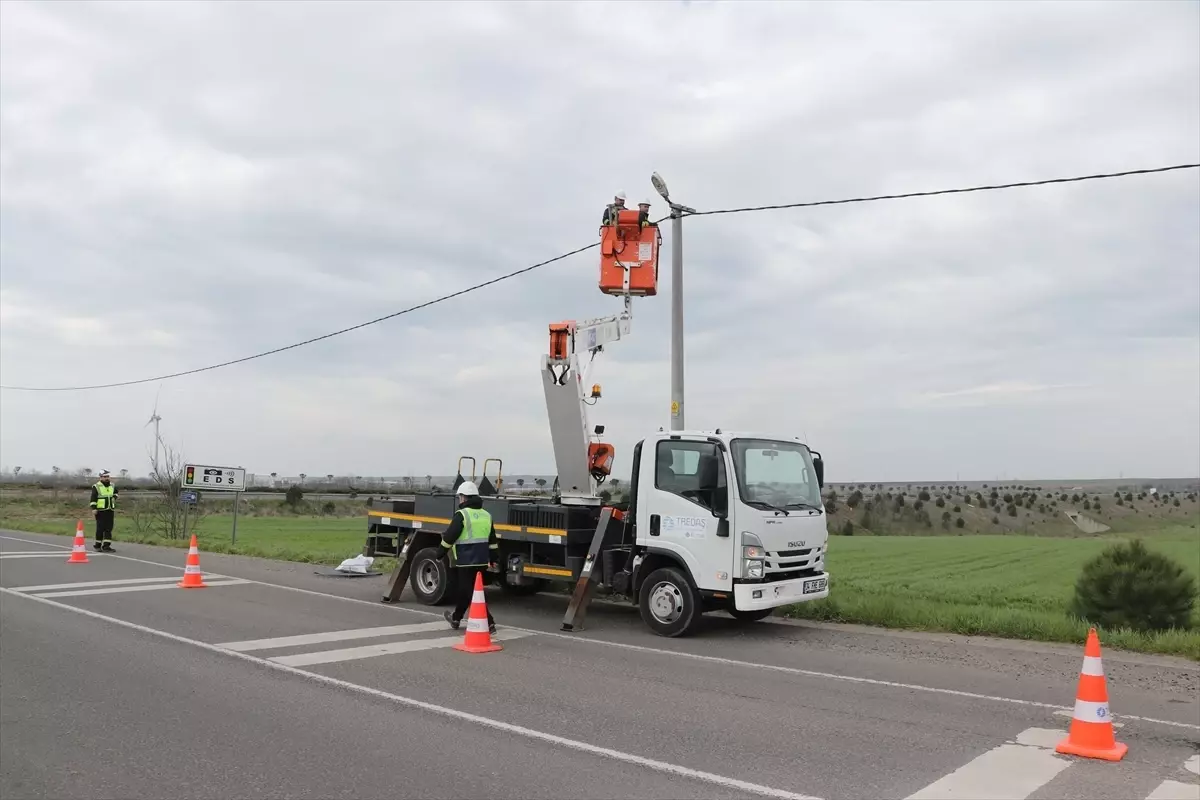 Trakya\'da Leylekler İçin Güvenli Platformlar Kuruldu
