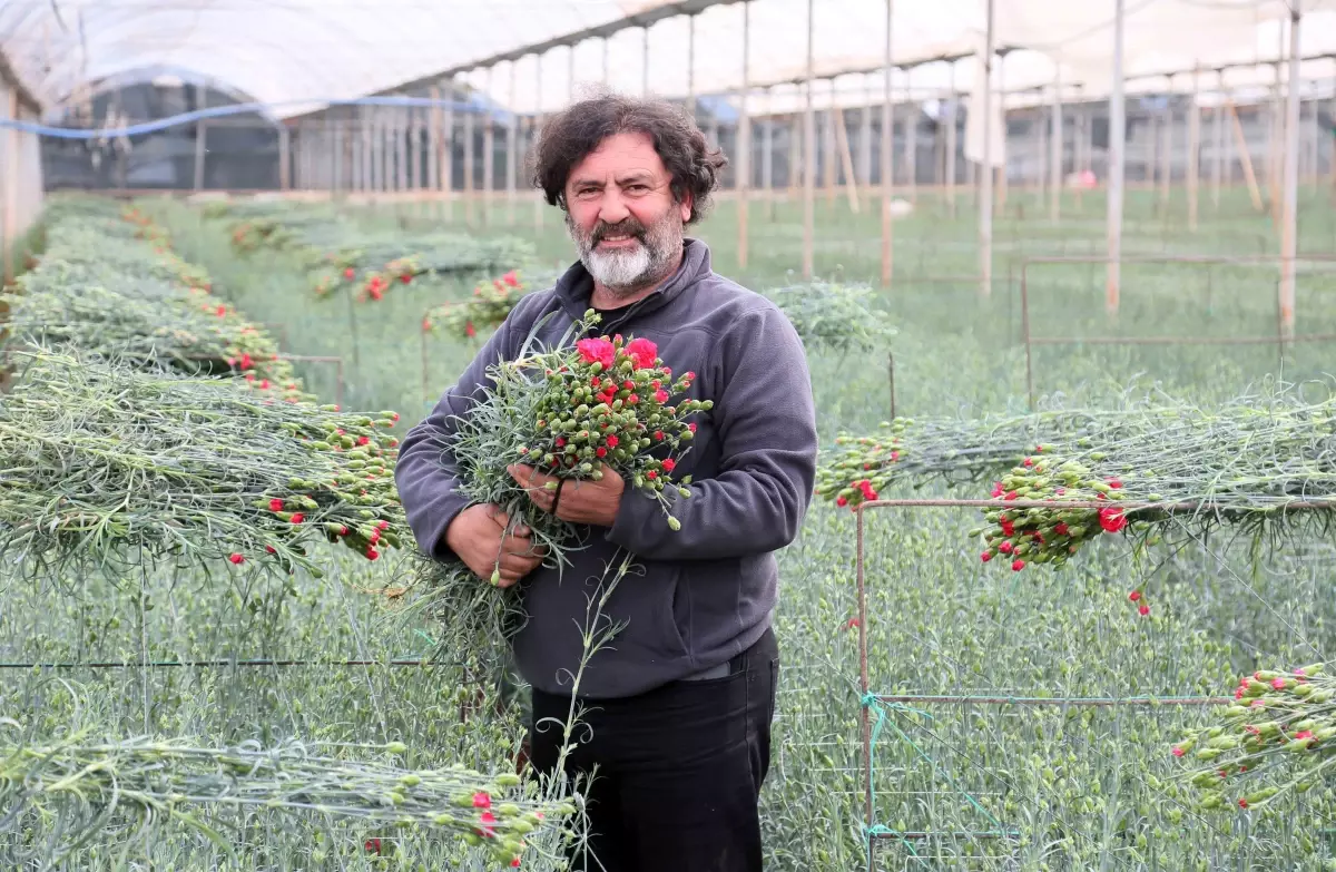 Kesme Çiçek İhracatı Rekor Kırdı