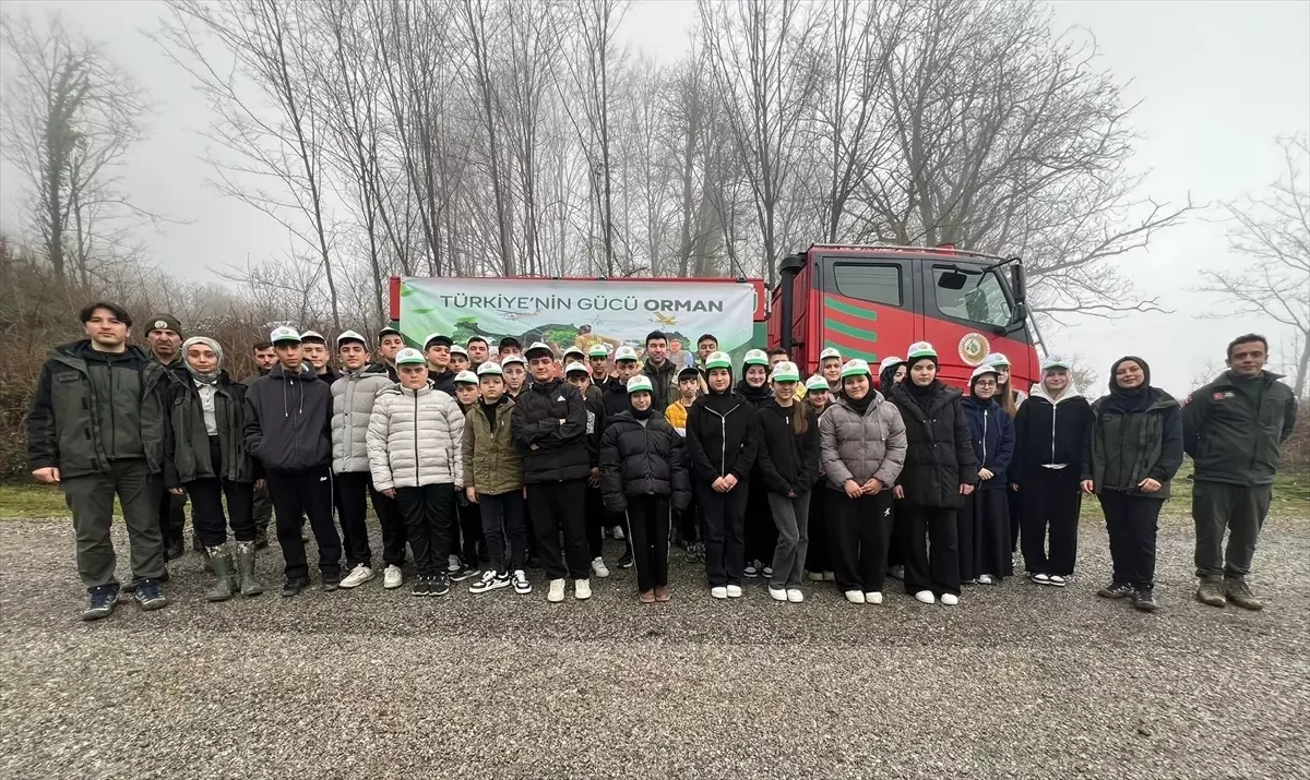 Türkeli\'de Fidan Dikim Etkinliği