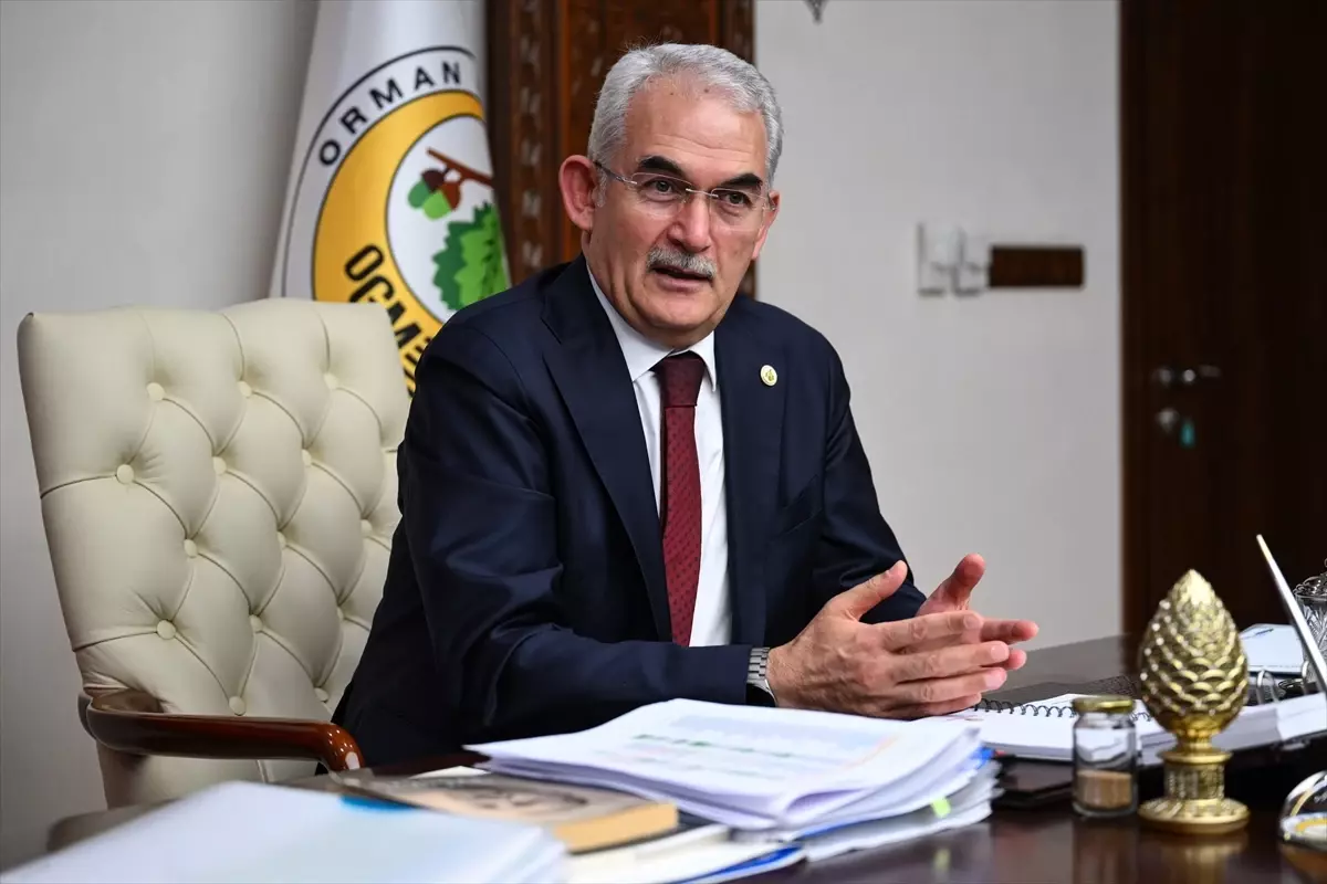 Türkiye 600 Milyon Fidan Dikecek