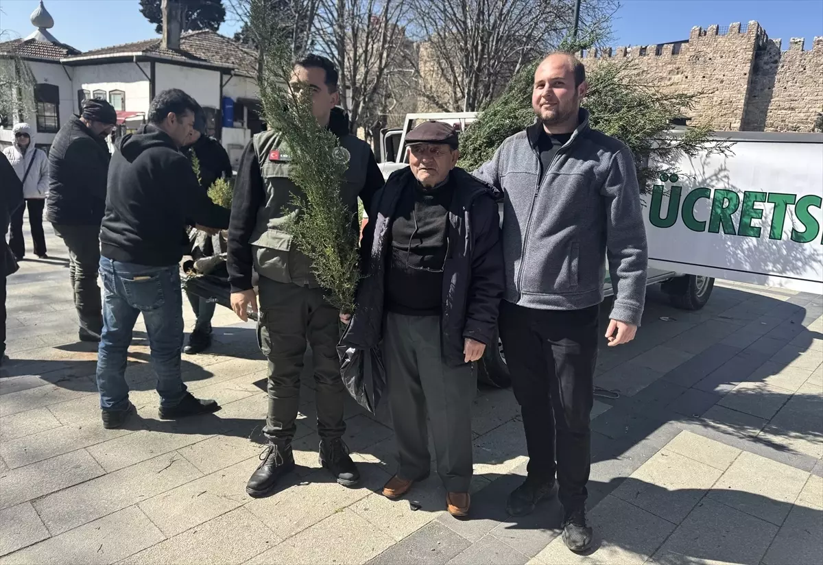 Sinop’ta 5 Bin 700 Fidan Dağıtıldı