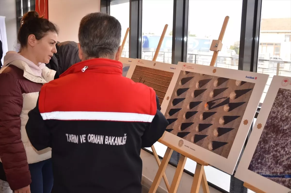 Sinop\'ta Tarım Fotoğraf Sergisi Açıldı