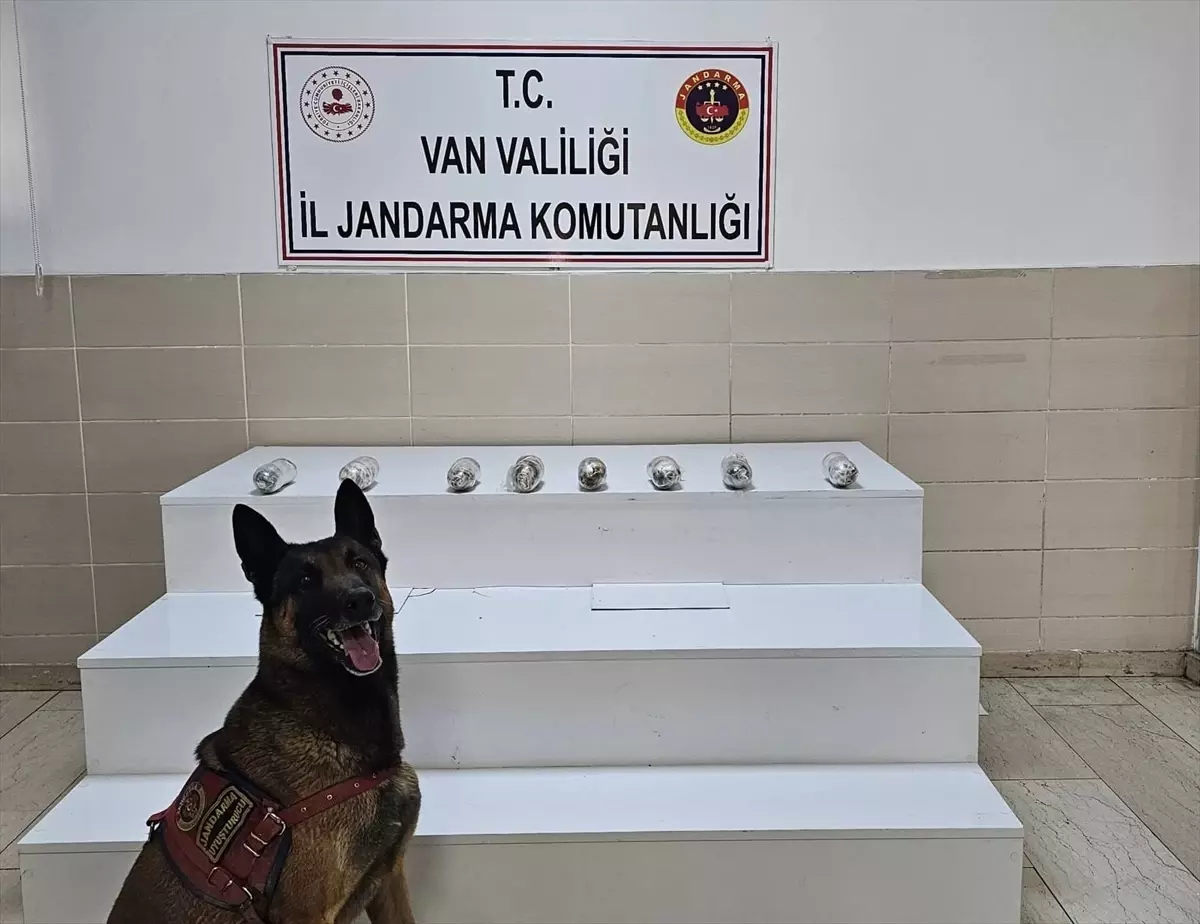 Van\'da Uyuşturucu Operasyonu