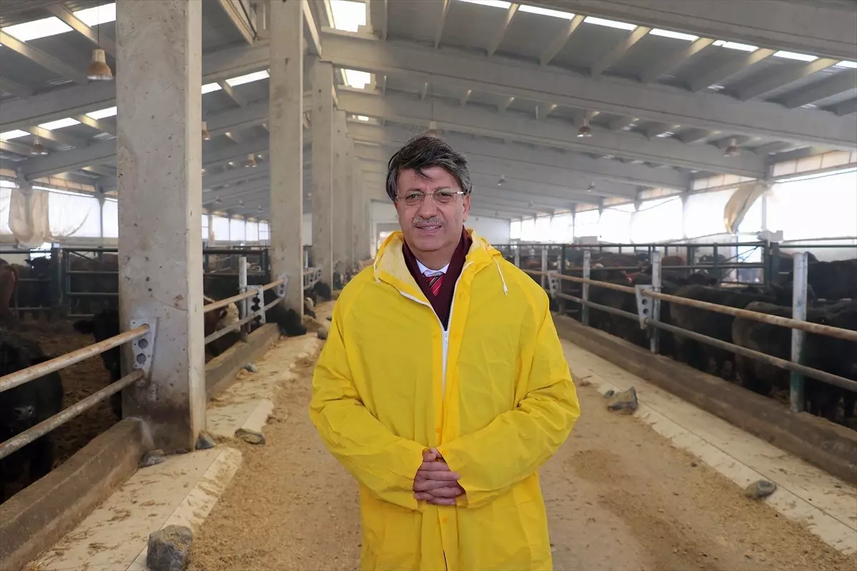 Van\'da Düve Yetiştirme Merkezi Açıldı