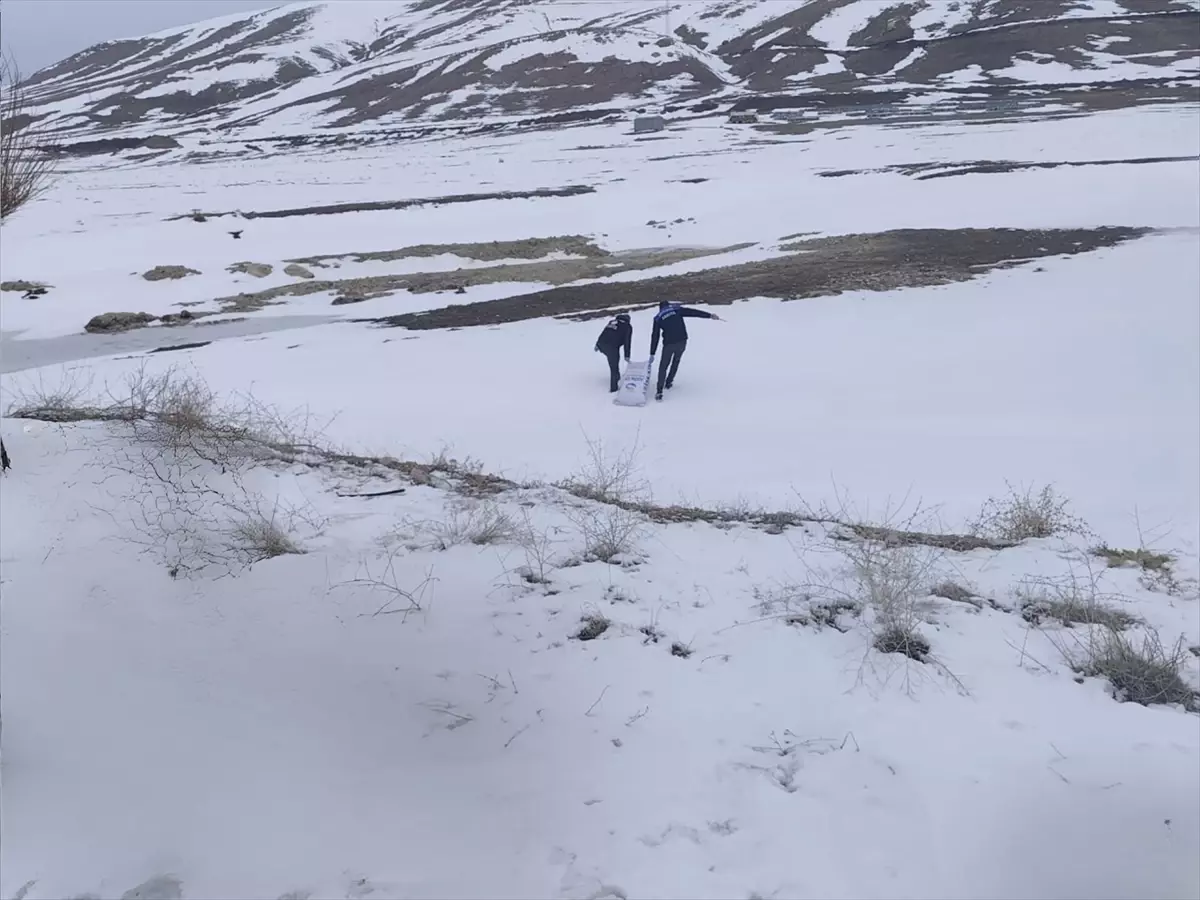 Yaban Kuşlarına 1,5 Ton Buğday Bırakıldı