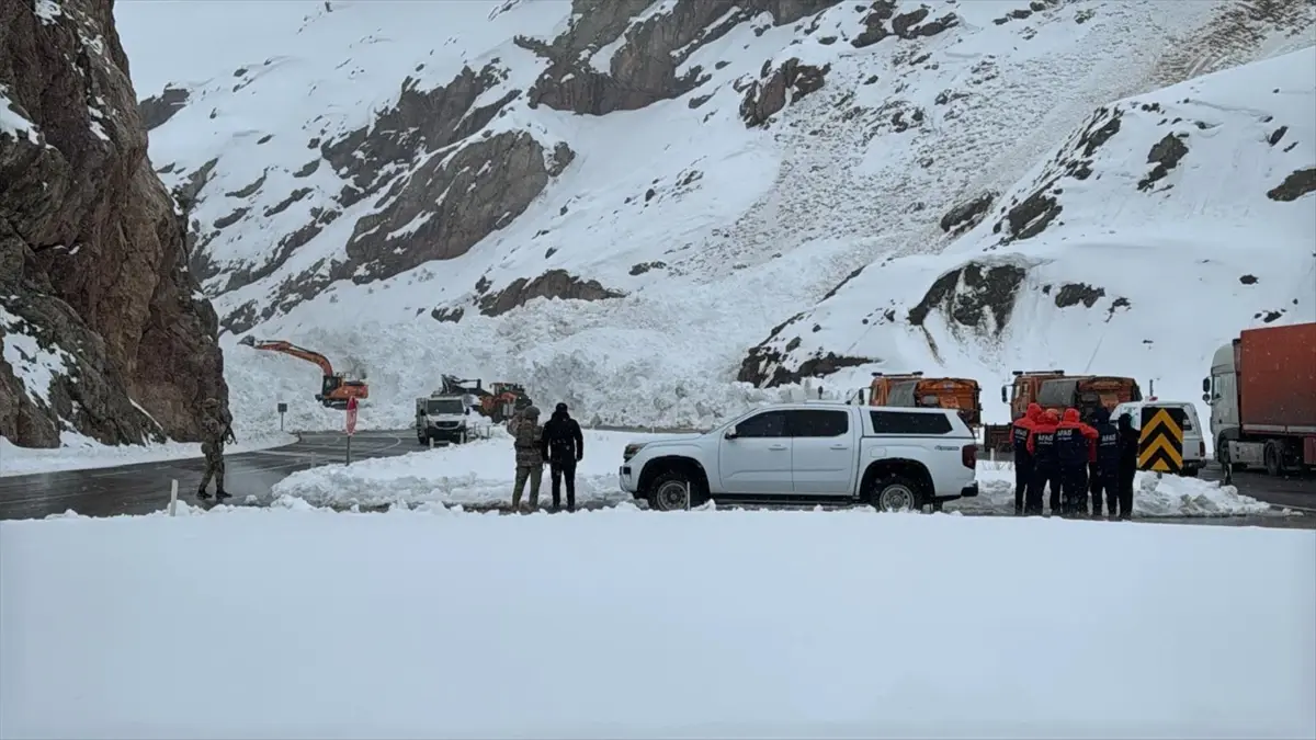 Van-Hakkari Yolu Çığ Nedeniyle Kapandı