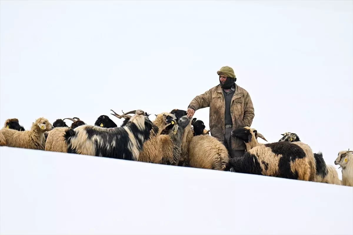 Van\'da Baharda Kış Şartları