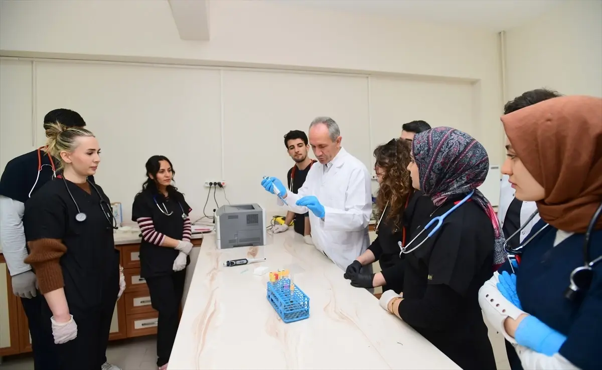 Van Kedisi Kan Grupları Araştırması