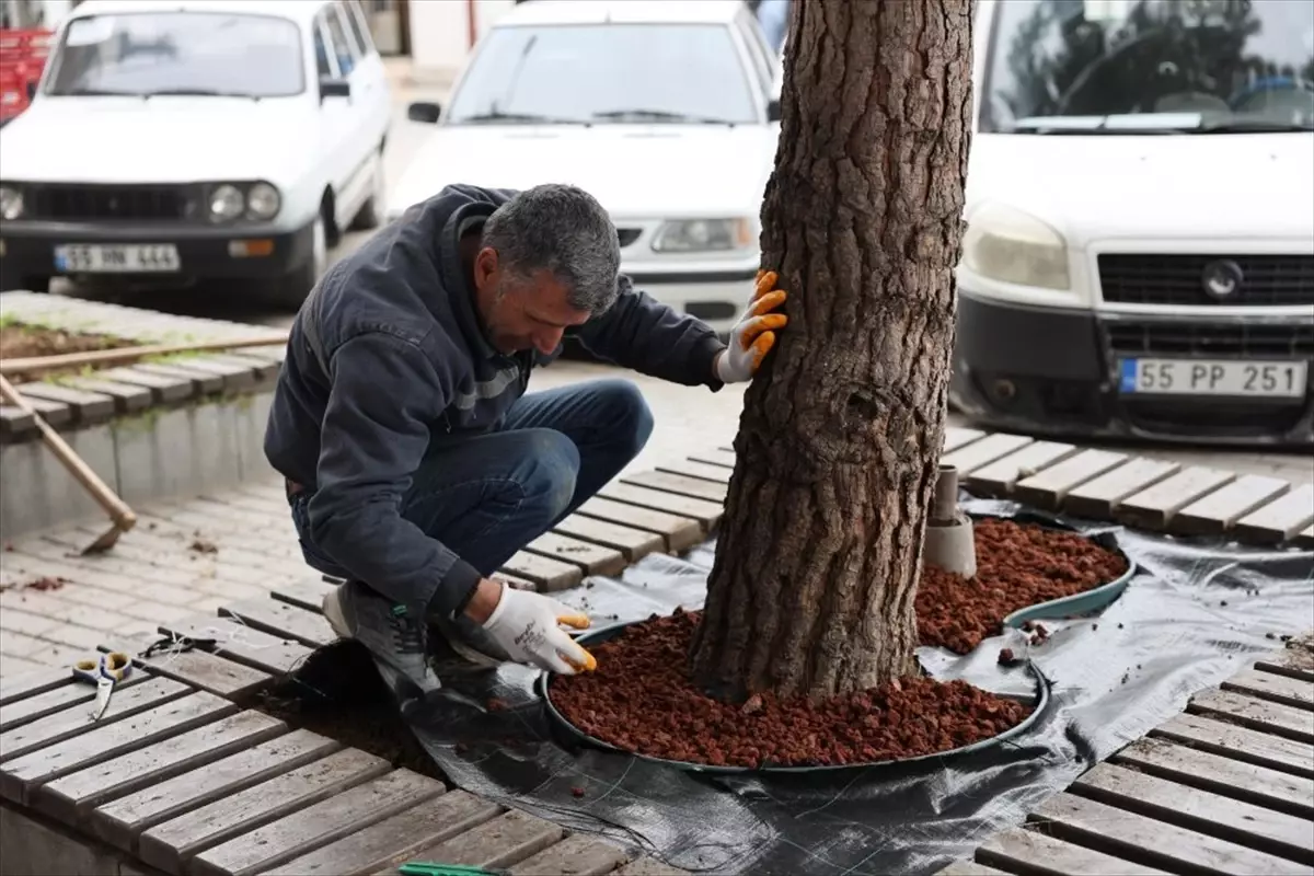 Vezirköprü\'de Çevre Düzenleme Çalışmaları