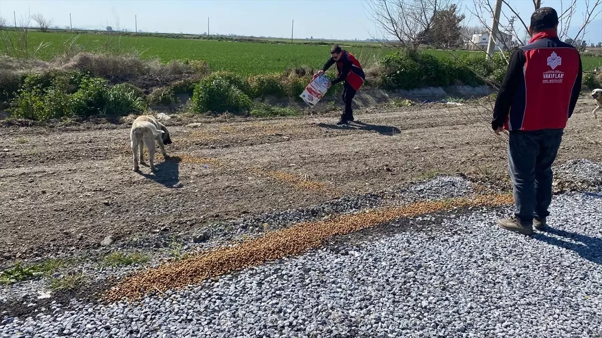 Yaban Hayvanlarına Yem Desteği