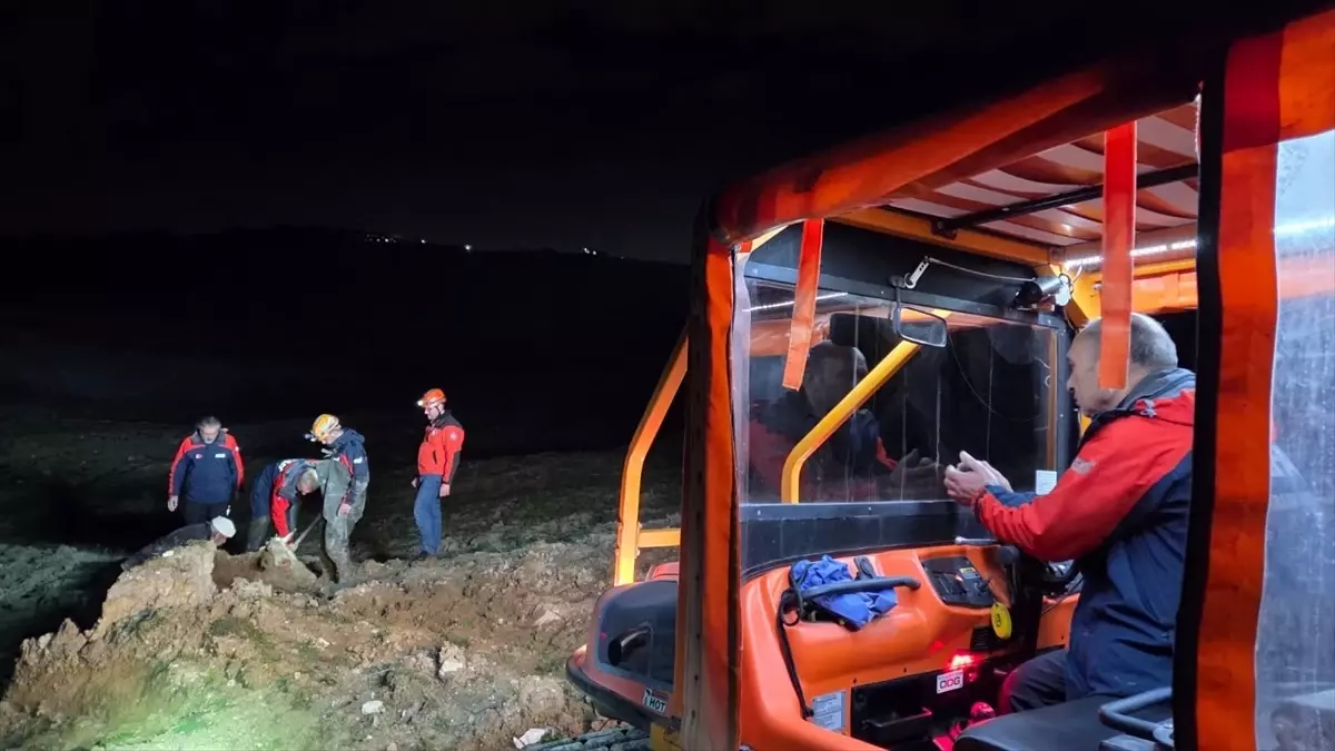 Yalova\'da Bataklıktan Kurtarma Operasyonu