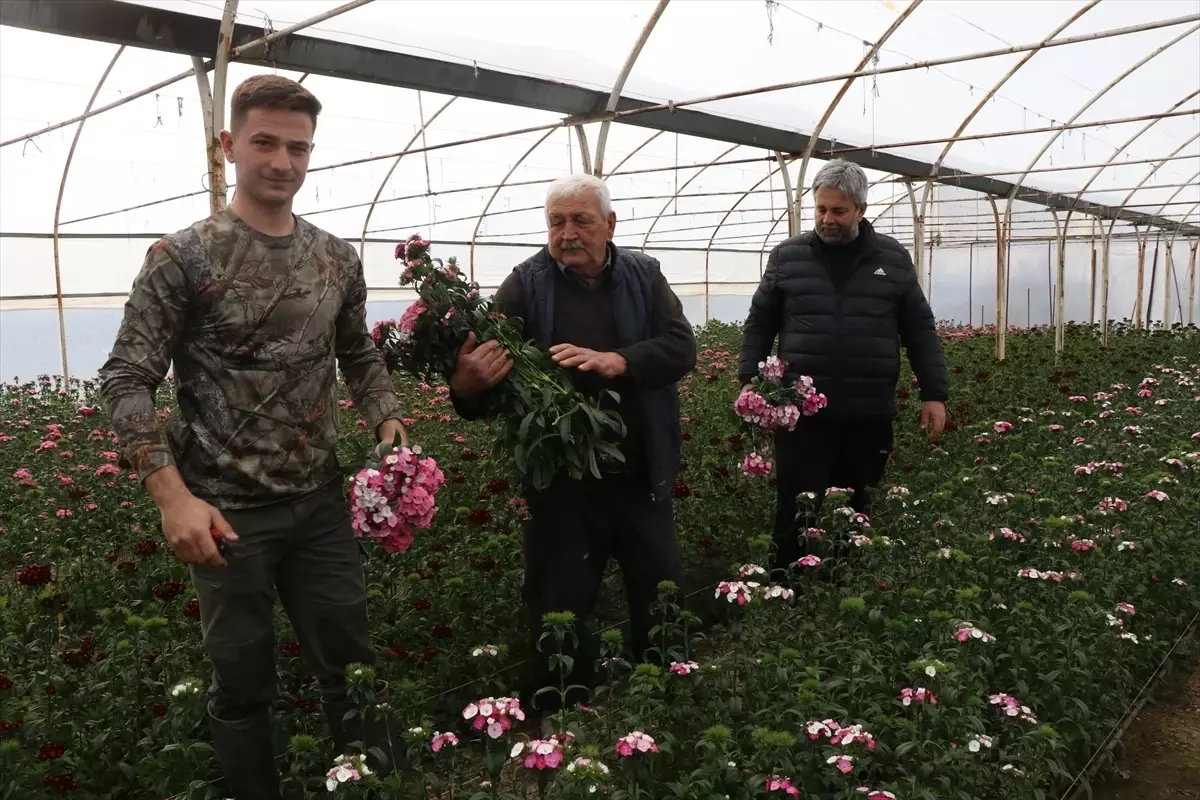 Çiçekçilik 4 Kuşaktır Akgün Ailesinin İşi