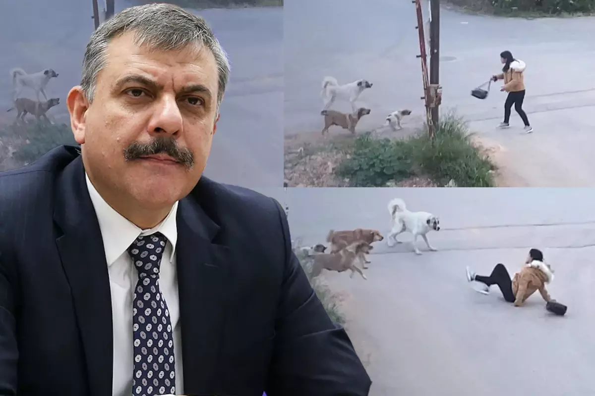 Yeni İçişleri Bakanı Mustafa Çiftçi\'nin sokak köpekleri konusunda tavrı net