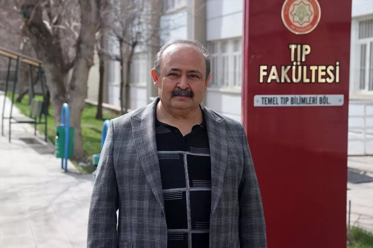 Kış Yağışları Keneleri Artırabilir